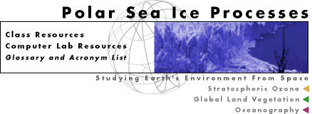 polar ice banner