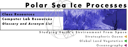 polar ice banner